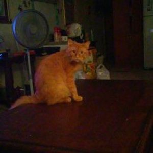 Meet your Posher, Jerome